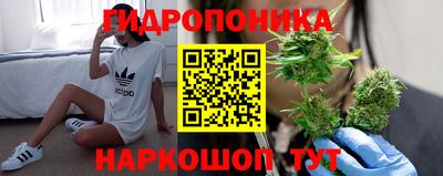 PSILOCYBIN Сосновоборск