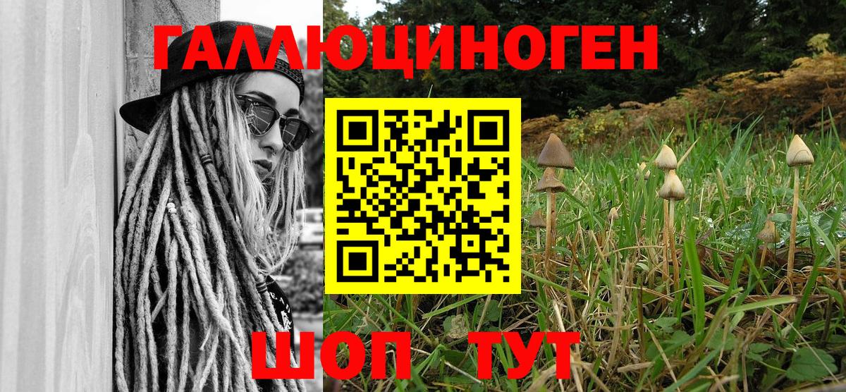 Псилоцибиновые грибы мухоморы Ачинск