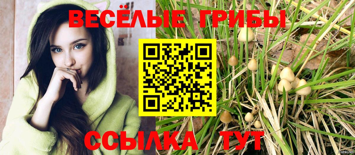 Ачинск  Галлюциногенные грибы мухоморы  Галлюциногенные грибы Magic Shrooms  Вход с VPN 
